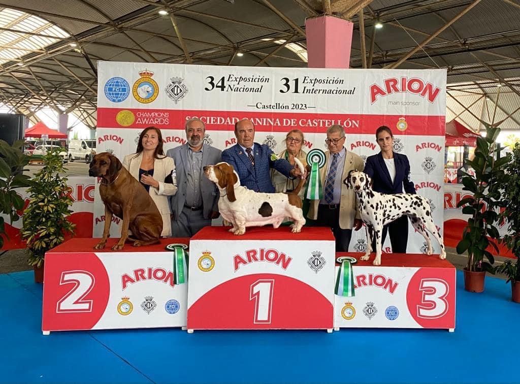 El Certamen de Belleza Canina nacional e internacional atrae a Castellón a más 4.000 personas este fin de semana