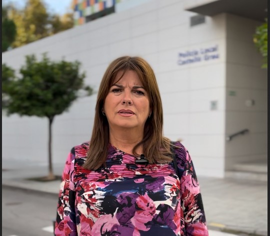 El PSPV denúncia la inacció del govern de Carrasco davant l'aparició de mosquits a Castelló