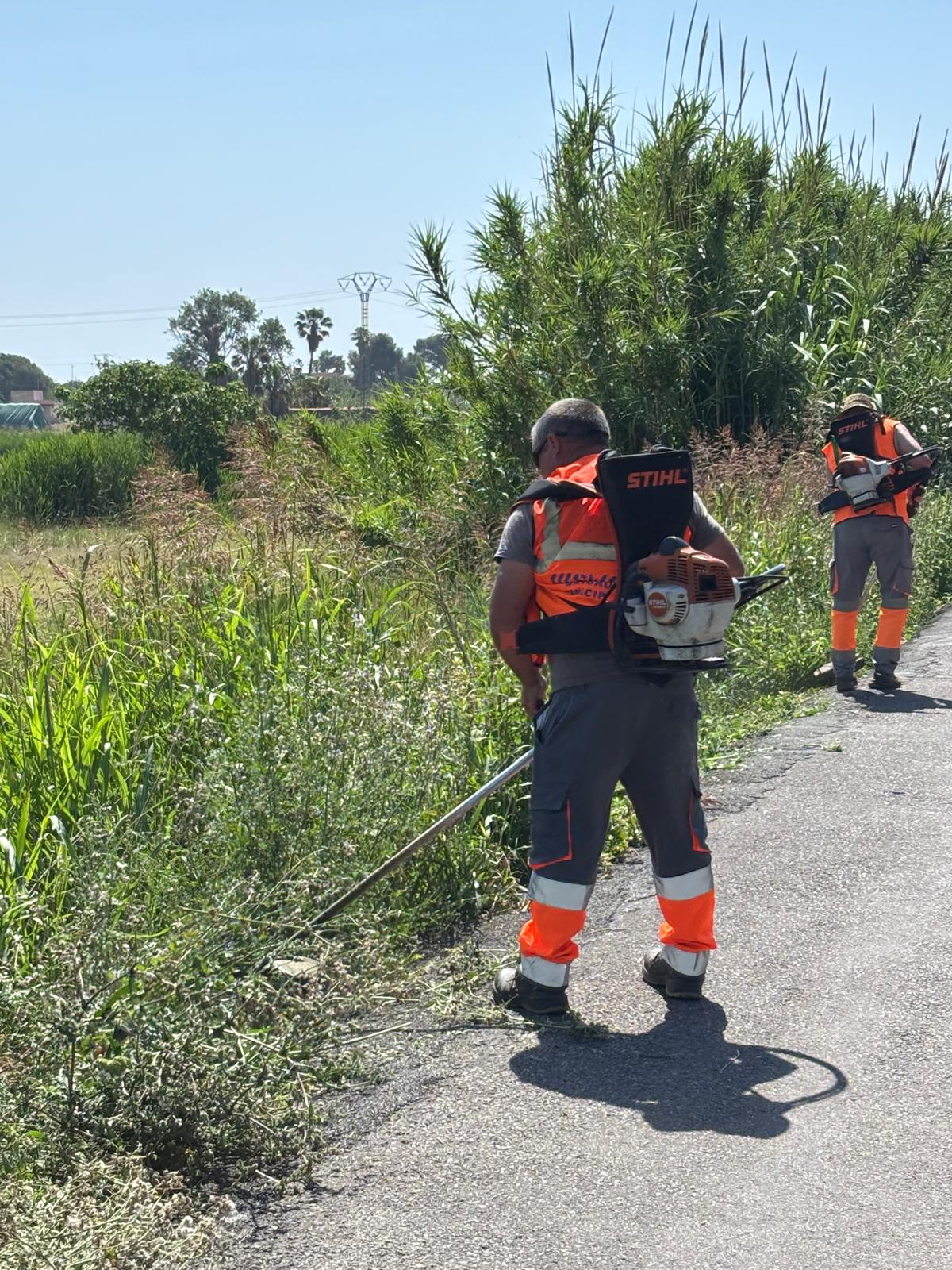 Castelló reforça la fumigació i la neteja de séquies i camins en la Marjalería, Benadressa, Grup Lourdes i Sant Andrés