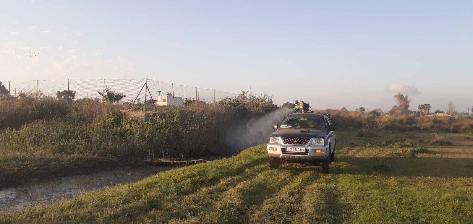 Castellón continúa con las labores de prevención contra los mosquitos en zonas de marjal, el Grao y los imbornales de la ciudad