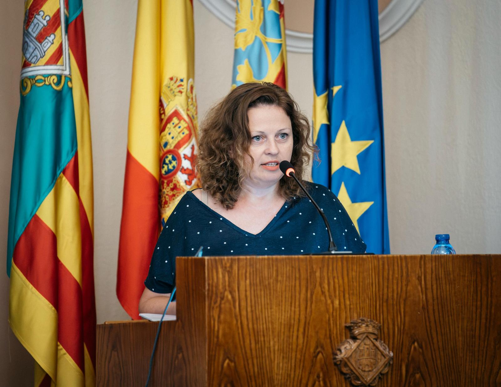 El PSPV aconsegueix el consens de tota la corporació per a impulsar el pla 'Castelló Sense Amiant'