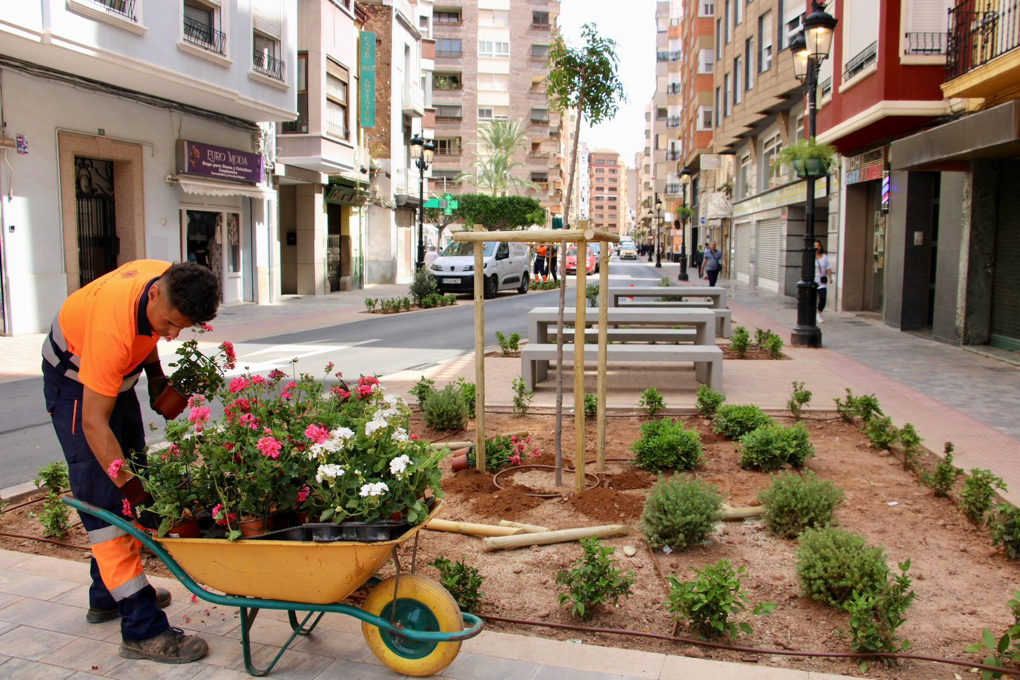 Amb la instal·lació del reg per goteig aquesta setmana el carrer Trinidad de la Zona de Baixes Emisions estarà conclós
