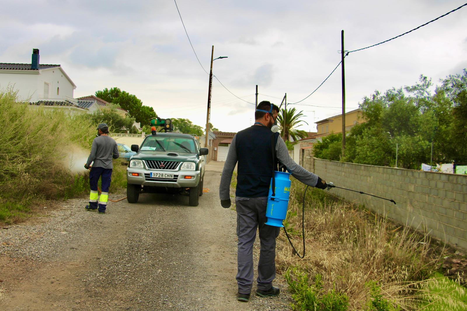 La regidoria de Salut Pública continua amb les labors de prevenció i control de mosquits i destaca la importància de la col·laboració ciutadana
