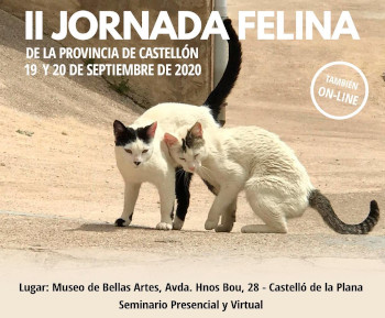 II Jornada Felina de la província de Castelló