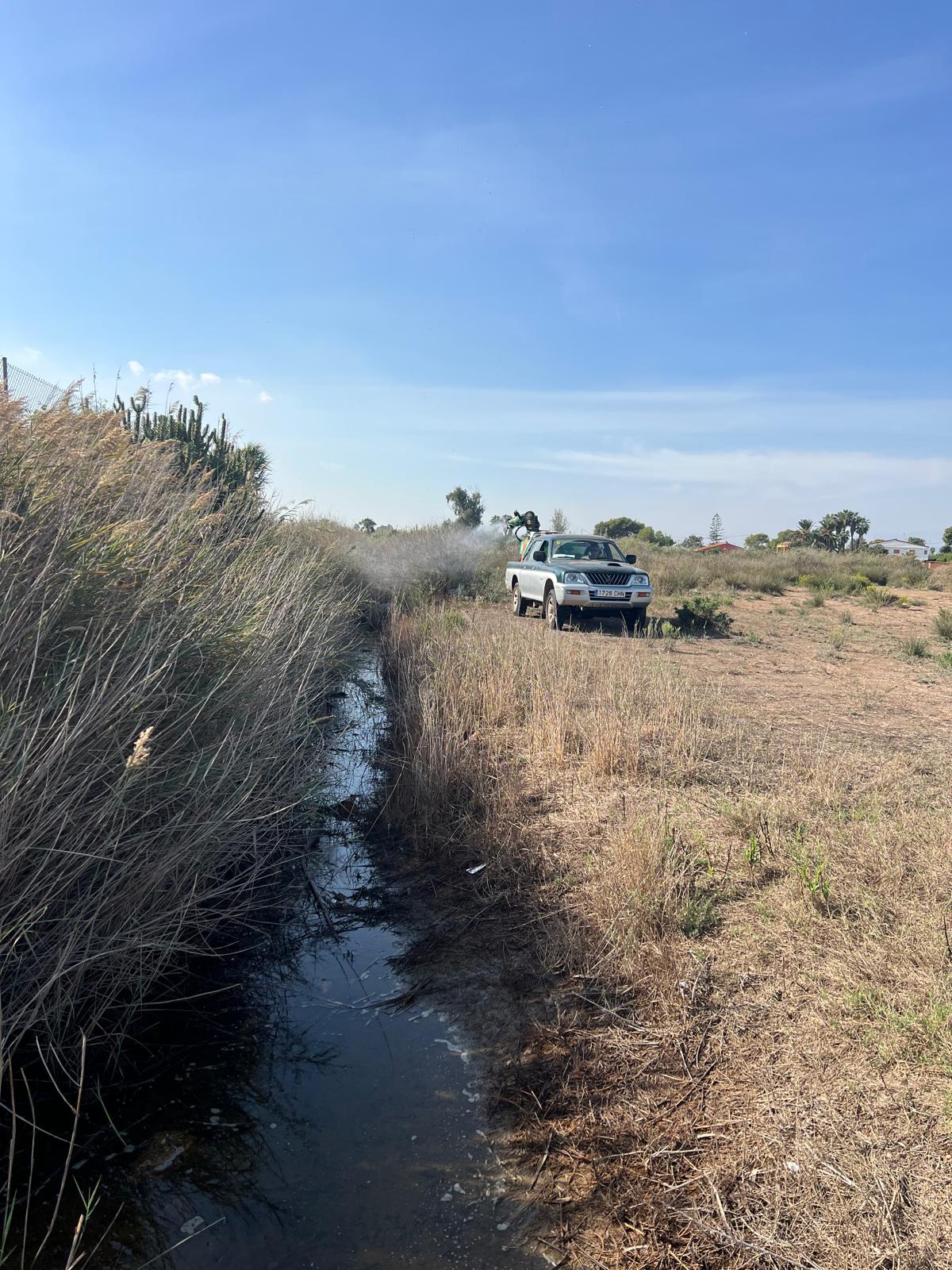 Castelló activa un pla extraordinari de control del mosquit després de les últimes pluges amb especial atenció a les zones d'acumulació d'aigua