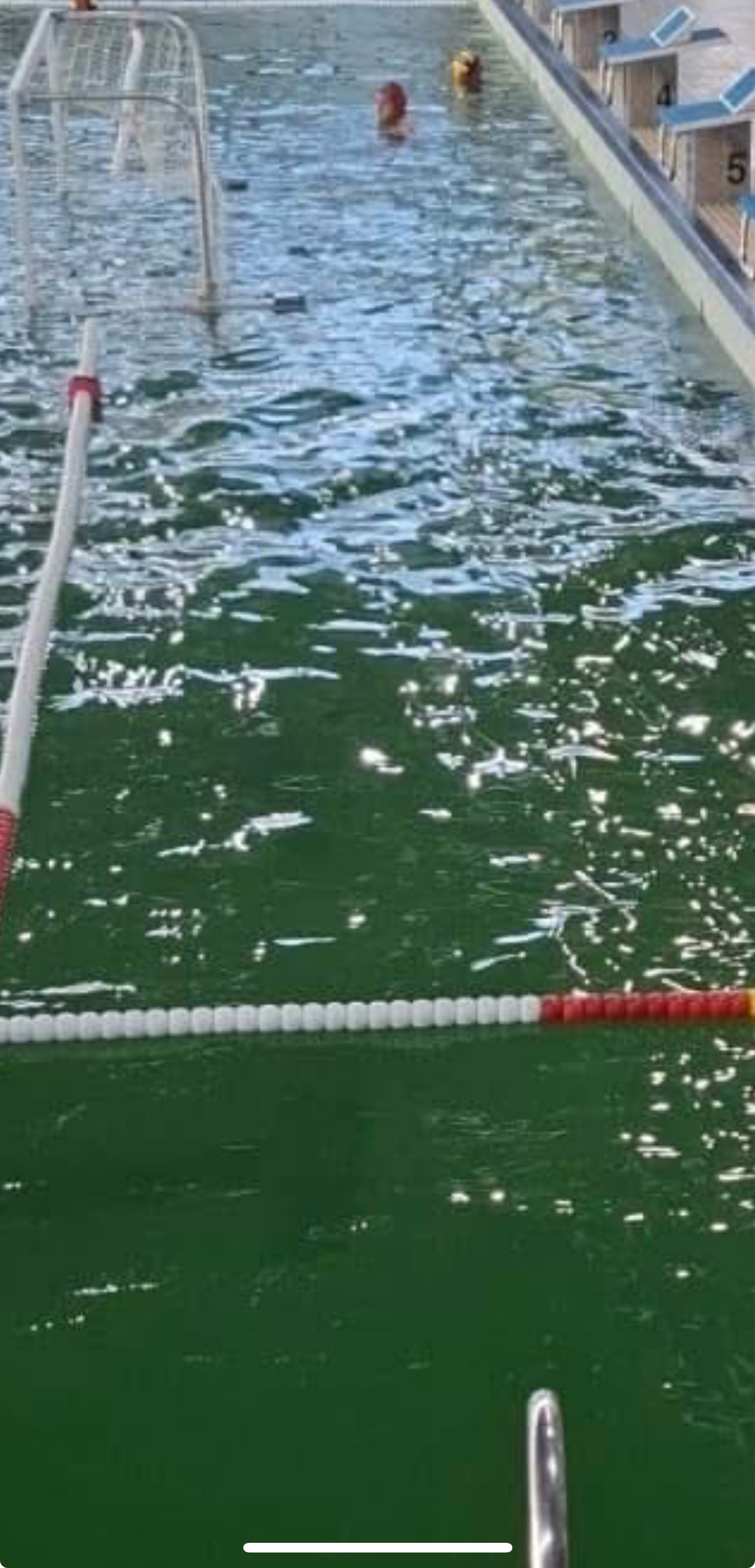 El mal estat de l'aigua de la piscina olímpica Salera de Castelló va impedir participar a equips de waterpolo