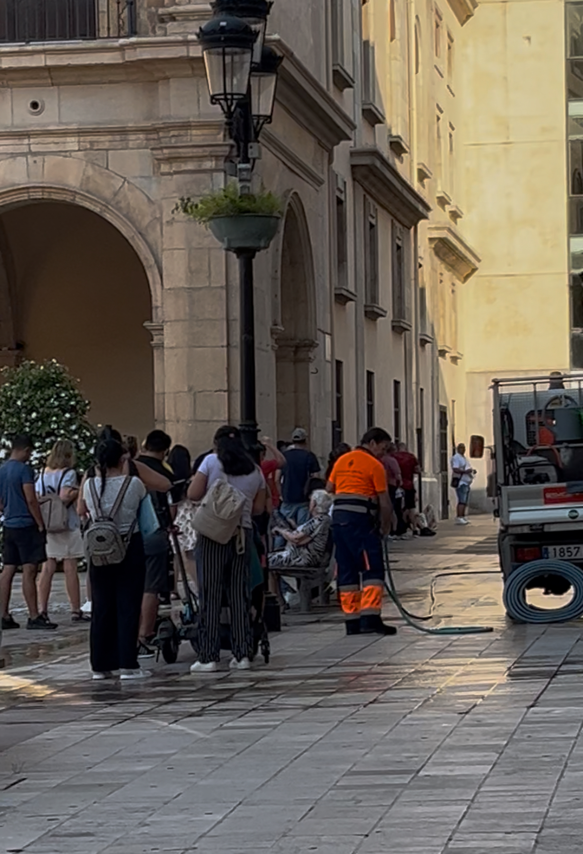 El PSPV exigeix habilitar per seu electrònica els canvis de padró per a acabar amb el col·lapse del Registre