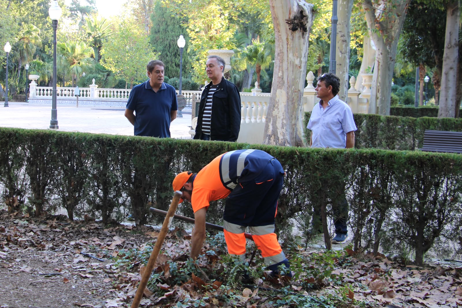 Castelló reutilitza les restes de poda de la ciutat per a millorar el sòl del Parc Ribalta