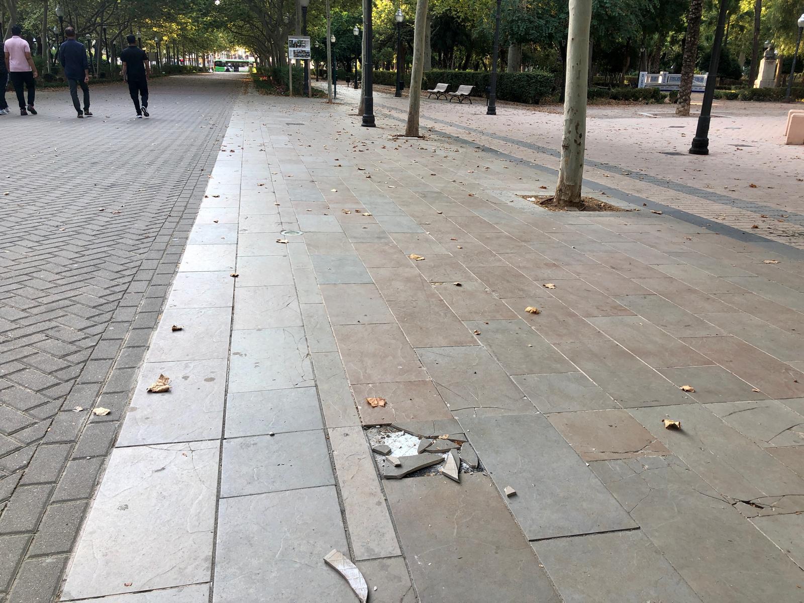 Brutícia, rajoles trencades i plantes seques marquen la imatge d'un parc Ribalta “abandonat a la seua sort”