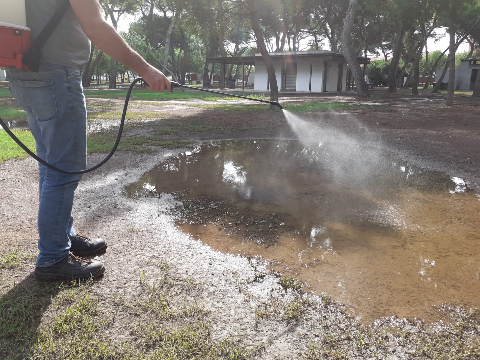 Castellón refuerza las actuaciones tras las lluvias para prevenir la proliferación de mosquitos