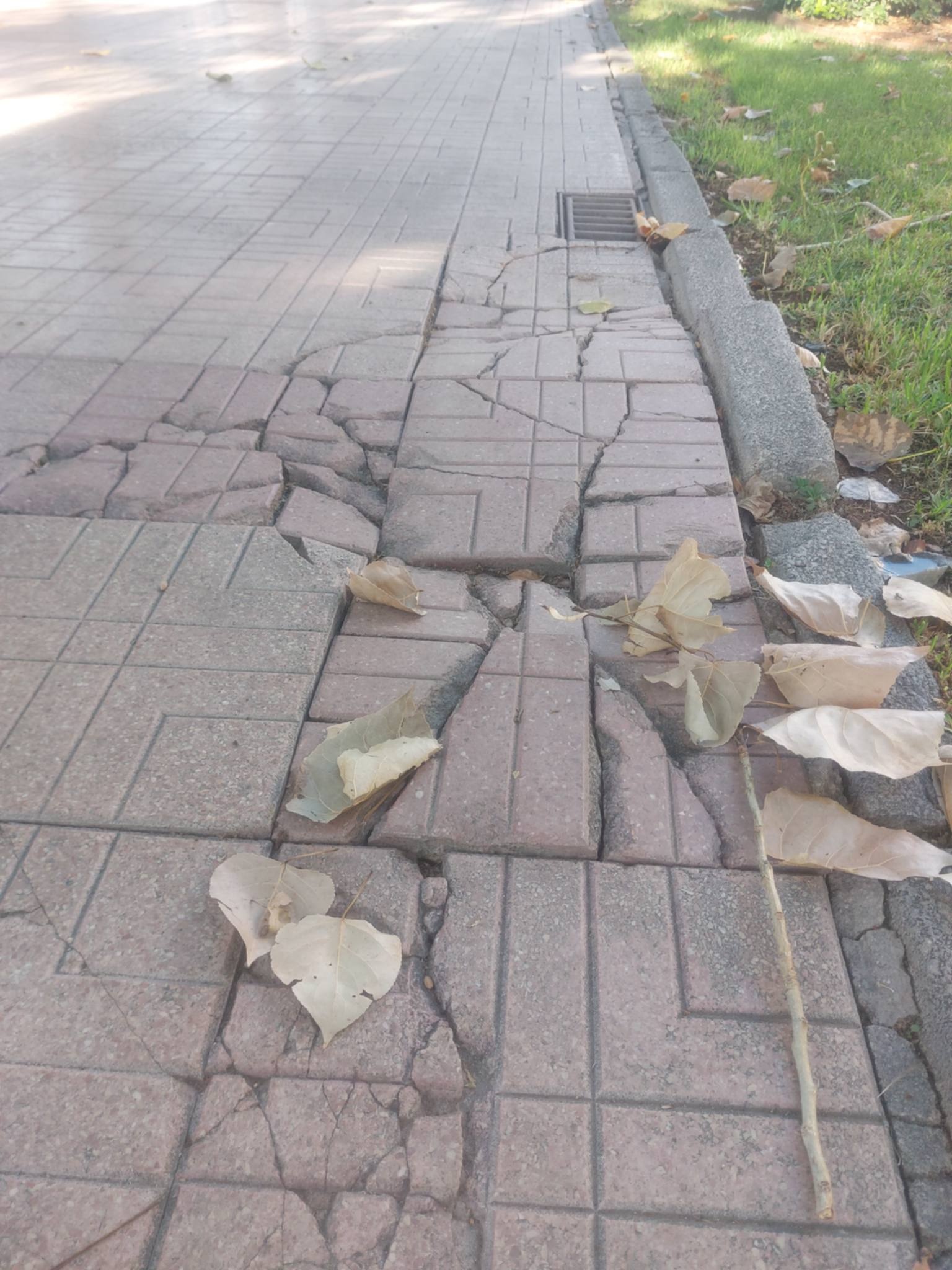 Brutícia, males olors i desperfectes: el PSPV reclama a Carrasco més manteniment i neteja
